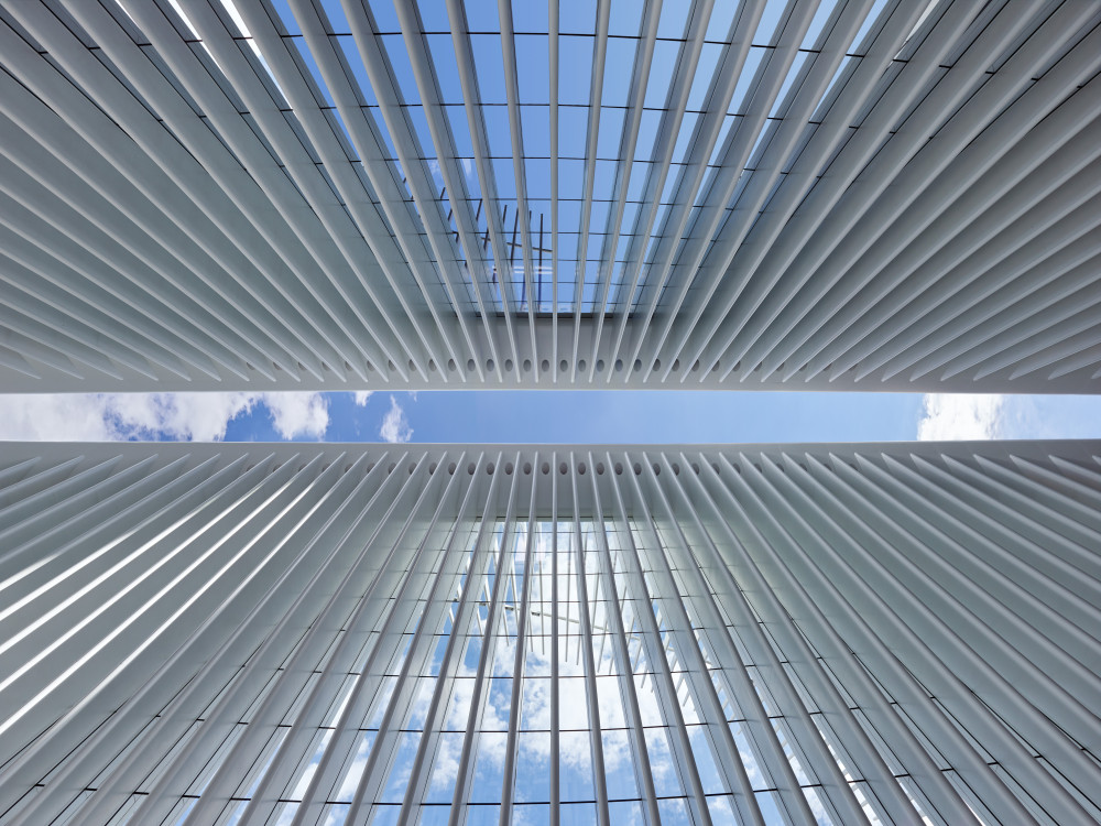 The Oculus, Wings of Light for New York