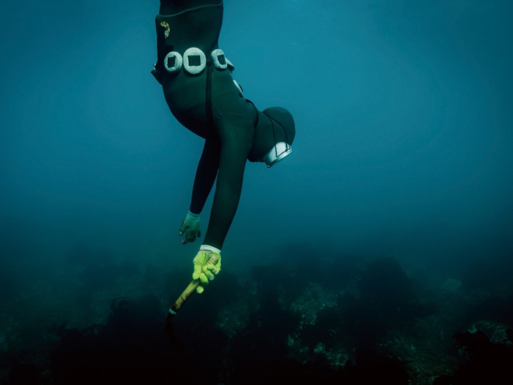 제주, 숨비소리를 따라 걷다